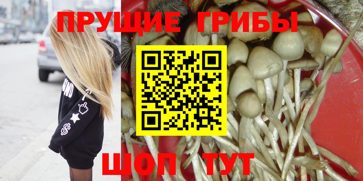 Ковров  Галлюциногенные грибы Psilocybe  Вход с VPN  Галлюциногенные грибы прущие грибы 